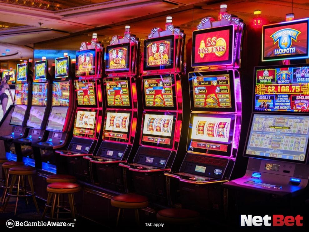 9556bet - Login Oficial Bet