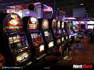 9556bet - App Fácil Bet