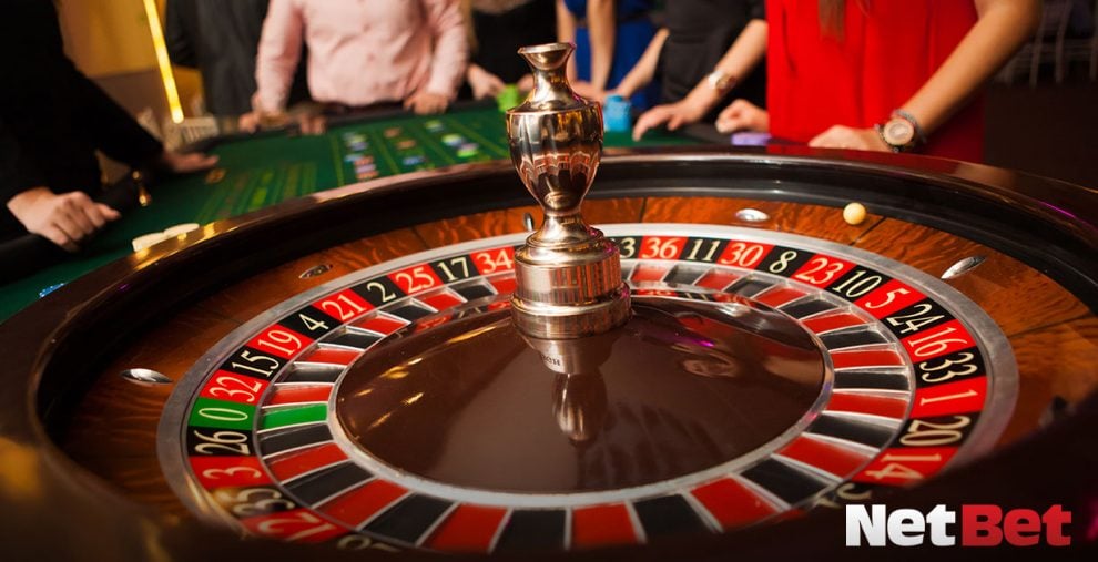 9556bet - Plataforma Jogos Fácil