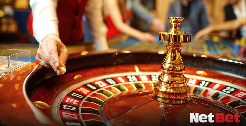 9556bet - App Cassino Oficial